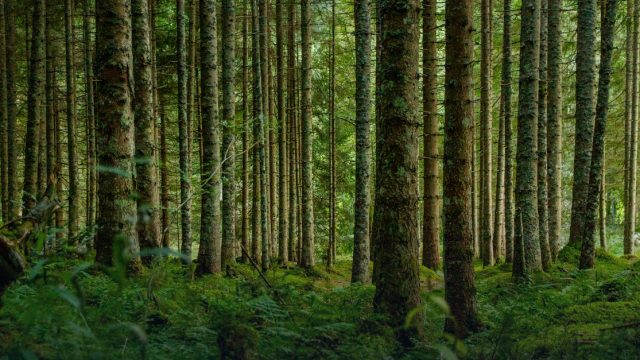 Twenty-Third International Conference on Environmental, Cultural, Economic & Social Sustainability