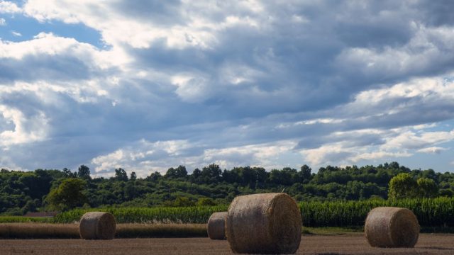 BUDAPEST 10th International Conference on Sustainable Agriculture, Food Security & Public Health (SAFSPH-27)