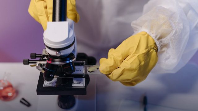 2027 International Conference on Food Science and Advanced Technology (FSAT 2027)