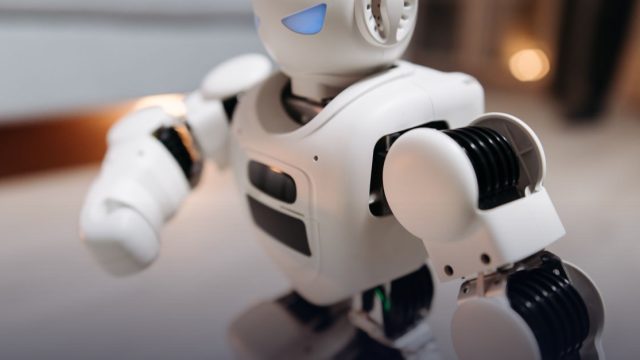 The 2nd EMEA Humanoid Robot Summit 2027