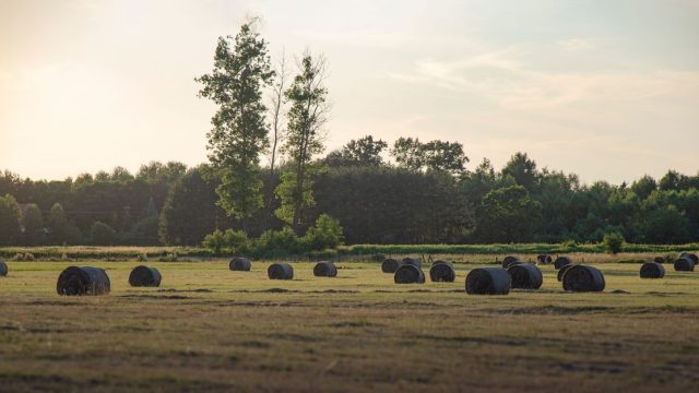AgriTech2027