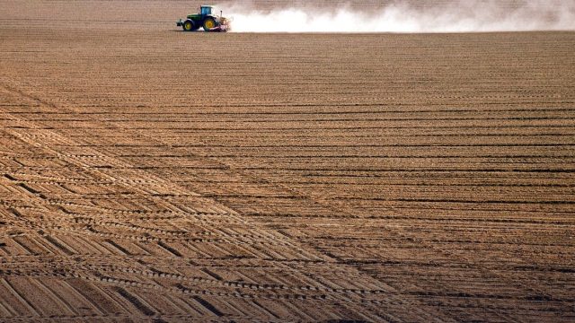 Spécialiste en Chaines de Valeurs Agricoles, Analyse situationnelle de genre «Feed the Future»
