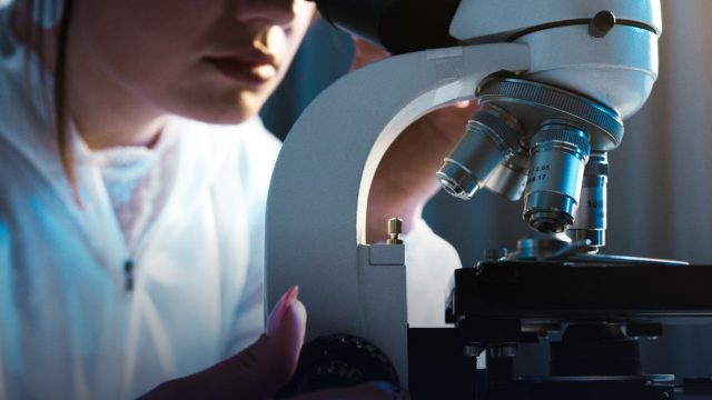 Moldova Medical Scholarship Without IELTS 2026