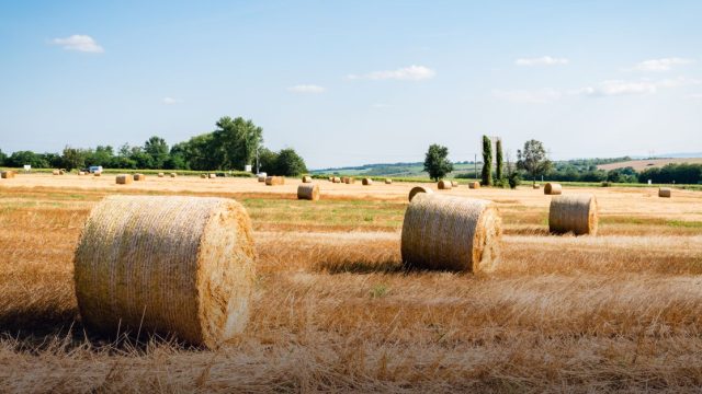 Symposium on Dairy Herd Health and Production