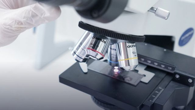 14th National and 6th International Biotechnology Congress