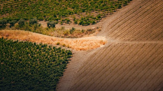 Second Conference on Agricultural Development with Smart Technologies
