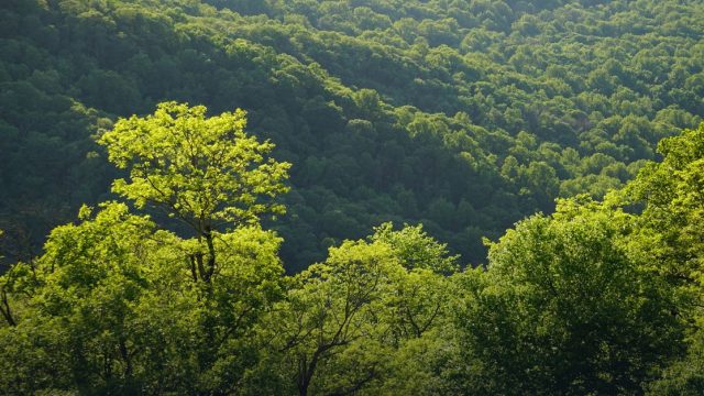 First National Conference of Soil Health, Human Health and Food Security
