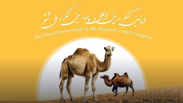 First International Fourth National Congress of Camel