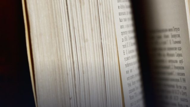 Programme d'études en France (PEF)