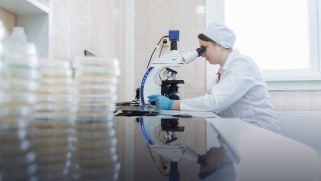 EMBL International Internship Programme