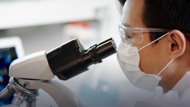 Ersatzmethoden für Tierversuche