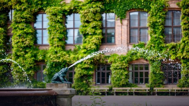 Sommarkurser utomlands