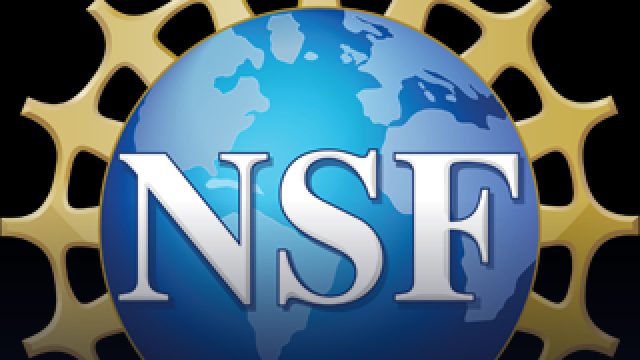 NSF Economics Program