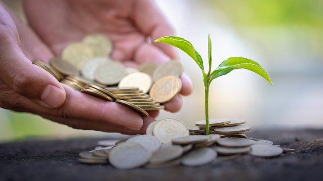 Economics Summer School (In-Person)