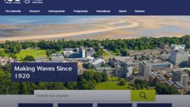 Royal Society PhD at Swansea: Molecular Quantum Materials