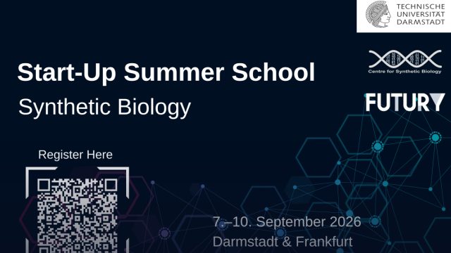 Futury Summer School 2026