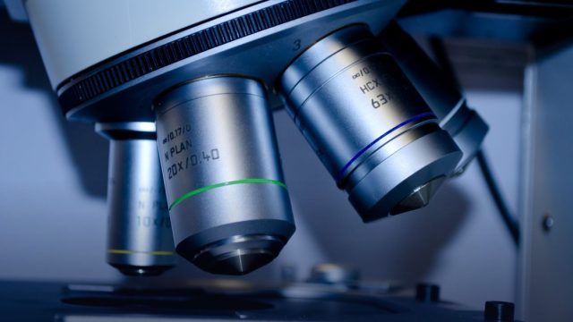 Biology Olympiad