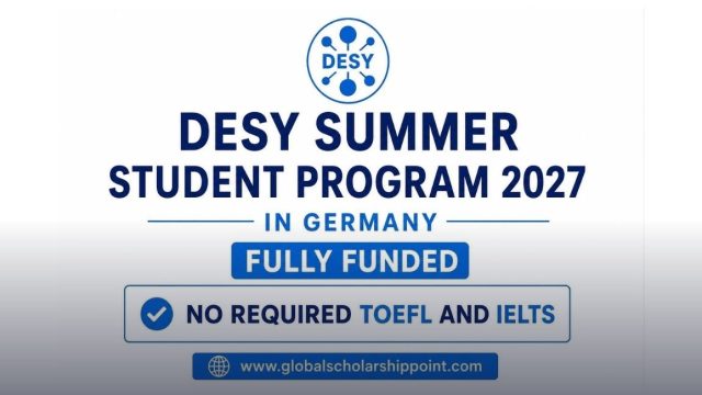 DESY Summer Student Program 2027