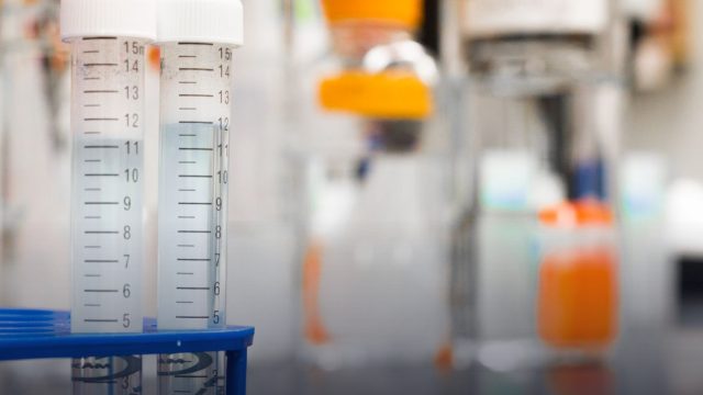 International Conference on Chemical, Agricultural, Biological and Environmental Sciences (ICCABES) 2026