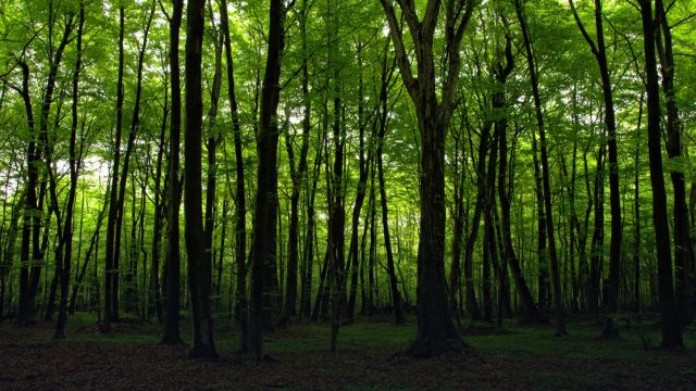3rd International Conference on Environment and Sustainable Development