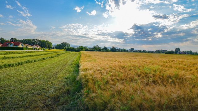 International Connect on Crop Science and Engineering Conference