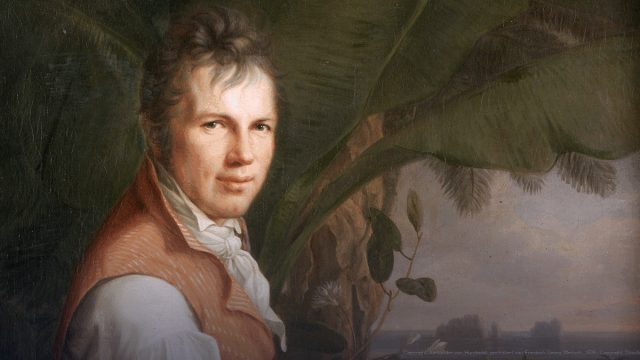Humboldt Research Award