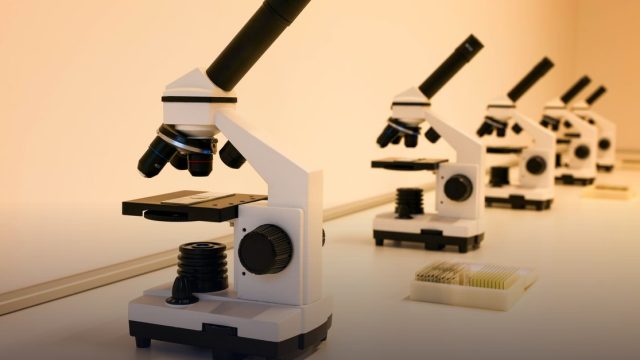 Rising Black Scientists Award