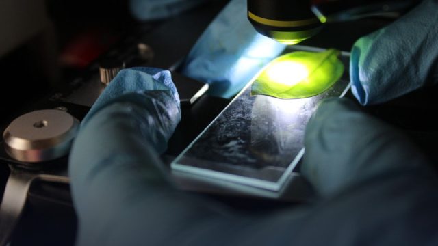 Amgen Scholars Summer Science Series (S3)