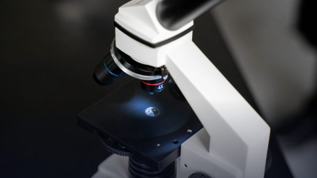 Amgen Scholars Travel Award