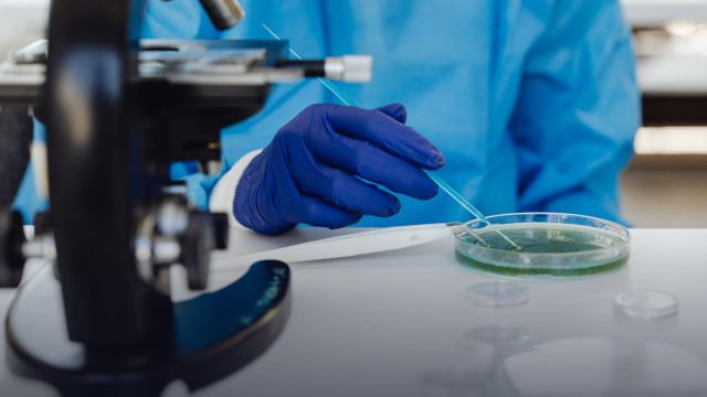 Amgen Scholars Program in Japan