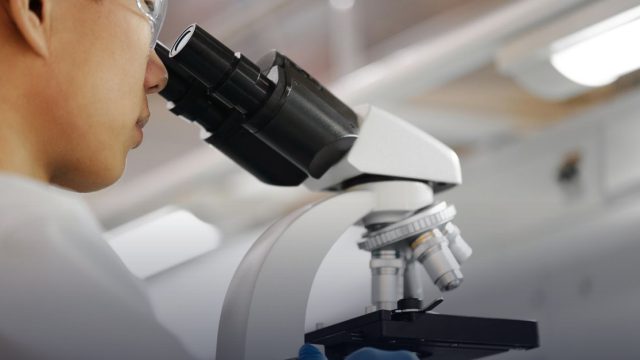 Amgen Scholars Program at LMU Munich