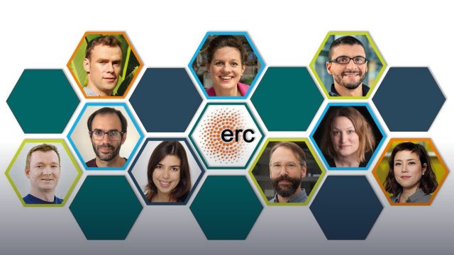ERC Consolidator Grant