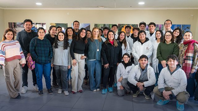 Puentes UC