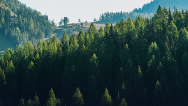 Regenerative Agriculture Forum 2026