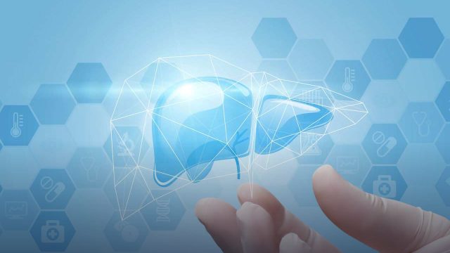 Advancing Metabolic Drug Development: Integrated Preclinical Strategies from Discovery to IND-Enabling Studies
