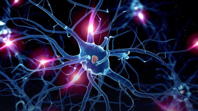 Advancing CNS Drug Development: Integrated Strategies Across Discovery, DMPK, and Non-Clinical Safety