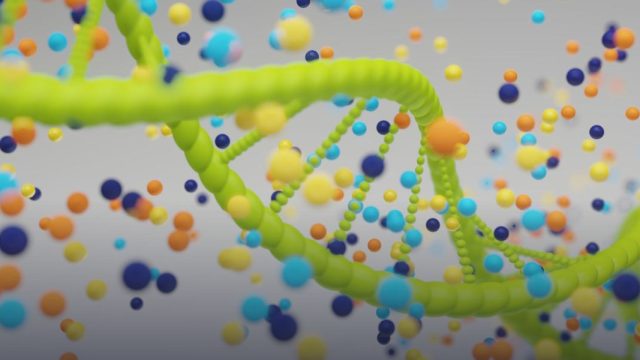 PRECISE Master's Program in Precision Oncology
