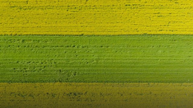 Décisions portant ouverture des concours à la FSMB, au Département d’Agriculture Durable et Gestion des Catastrophes de l’Université de Garoua, et à l’IBA-UDs de Foumban