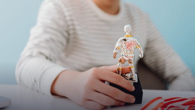 Communiqué portant autorisation d'ouverture des sélections pour les études doctorales dans les Universités d'Etat