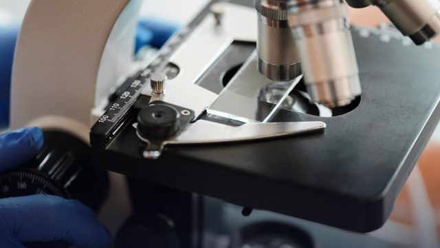 Entrance Examination for the First Year of the Bachelor's Degree Cycle, Faculty of Sciences, University of Ebolowa, for the Academic Year 2024-2025