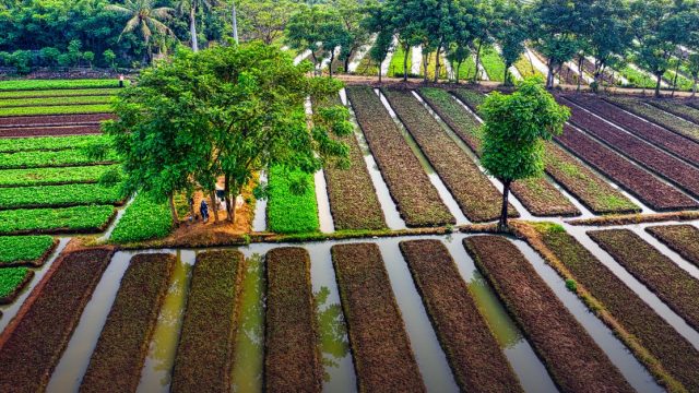 Admission au concours d'entrée à l'Institut Supérieur d'Agriculture, du Bois, de l'Eau et de l'Environnement (ISABEE) de l'Université d'Ebolowa au titre de l'année académique 2023-2024