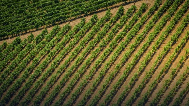 Concours d'entrée à l'Institut Supérieur d'Agriculture, du Bois, de l'Eau et de l'Environnement (ISABEE) de l'Université de Bertoua à Belabo – année académique 2023-2024
