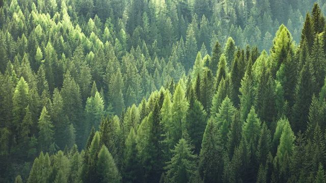 Sustainable Biodiversity Fund
