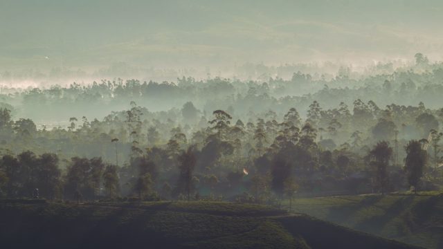 ARC Training Centre for Climate-Resilient Water PhD opportunities