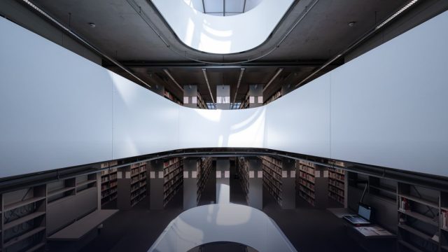 Leibniz-Professorinnenprogramm