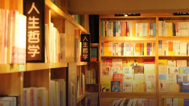 Stokes Educational Scholarship Program - Language