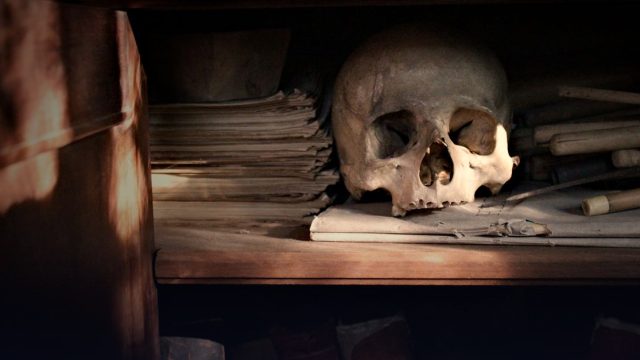 Herzog August Bibliothek Research Fellowships 2028