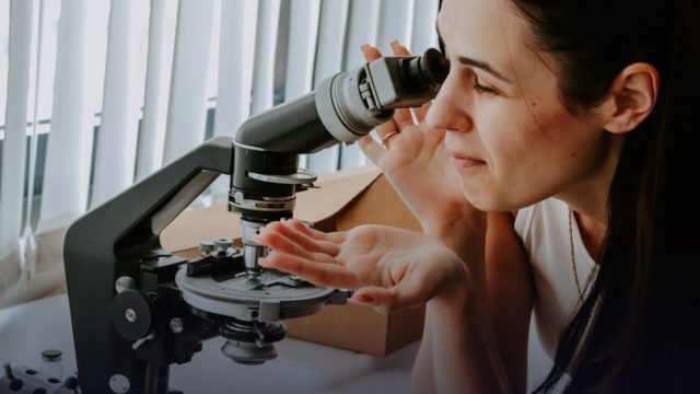 Umeå University Bioinformatics Postdoctoral Scholarship