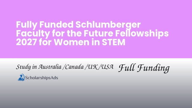 Faculty for the Future Fellowship