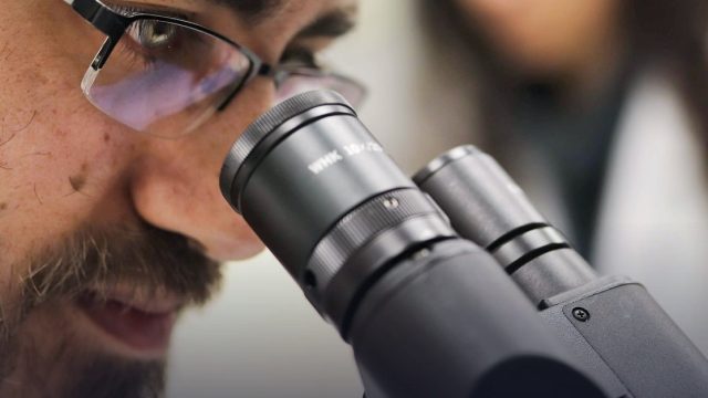 Jesus College Cambridge Science Research Fellowship 2026